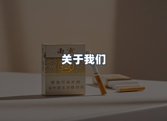 专业团队
